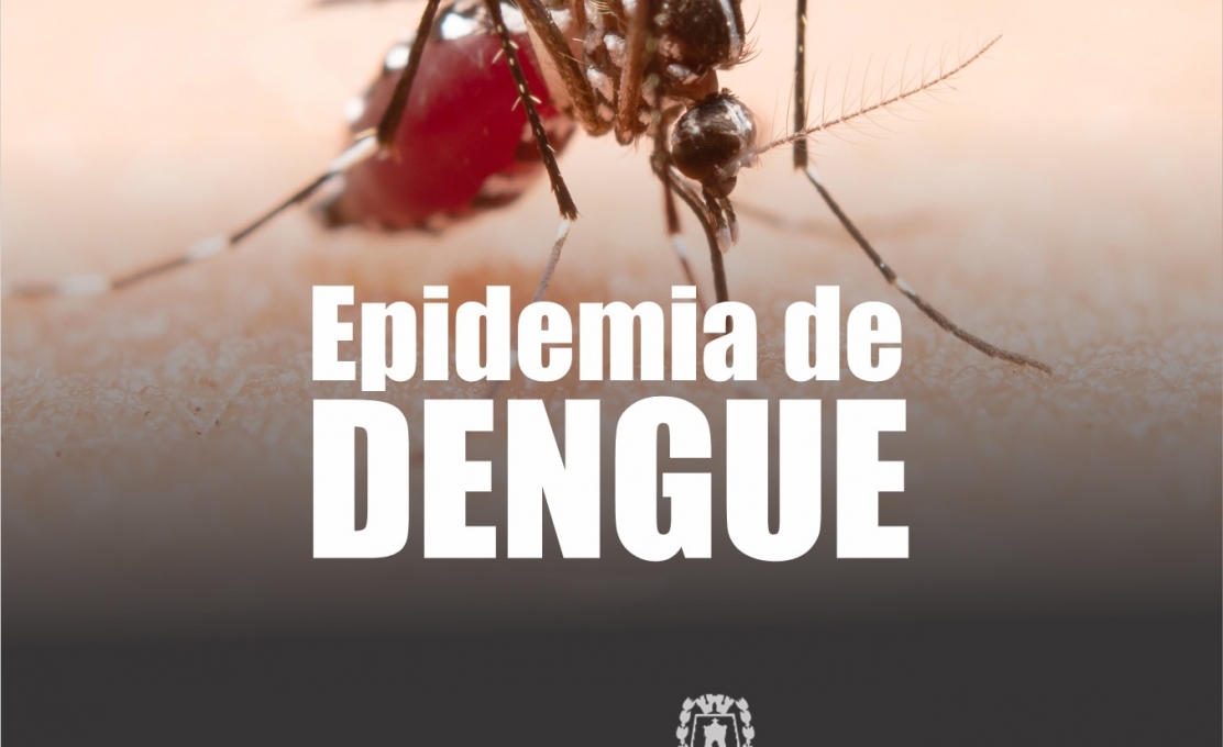 Guaporema está em situação de Epidemia de Dengue.