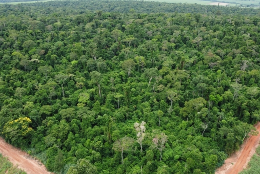 Foto de Reserva Particular do Patrimônio Natural - Paraguaçu