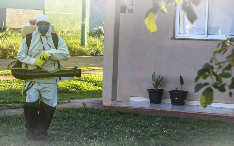 Cuidados no quintal para Evitar o Mosquito da Dengue!