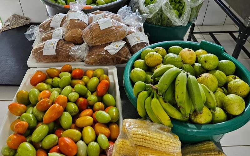 Assistência Social distribui 28 cestas verde para famílias do município.