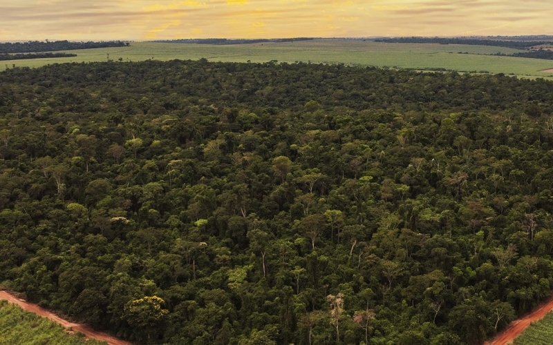 Prefeitura de Guaporema apresenta Reserva Particular do Patrimônio Natural