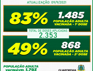 vacinometro4-09-09.png