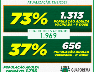 vacinometro4-12-08.png